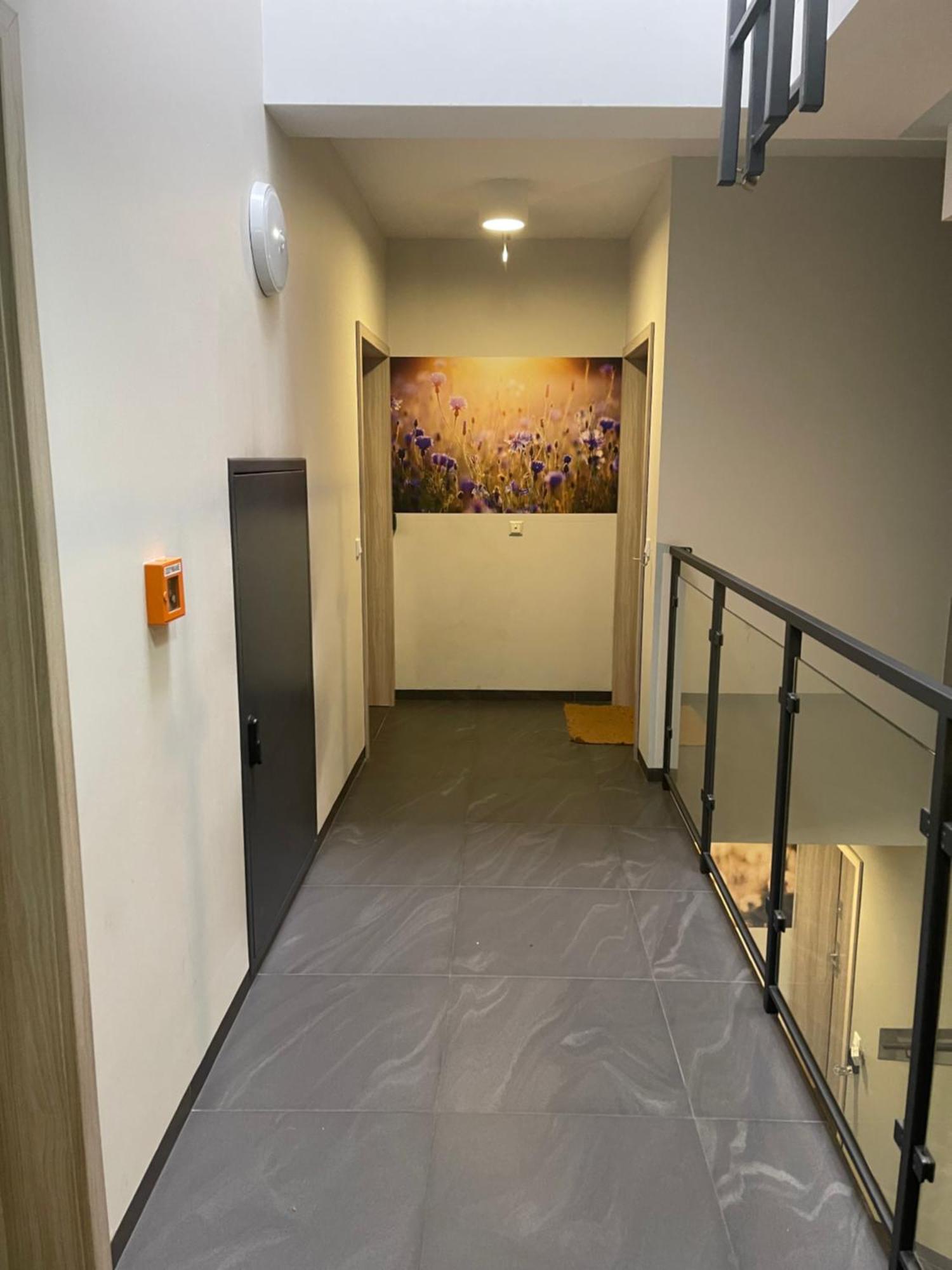 Sunflower Apartment Old Town Krakow Bagian luar foto